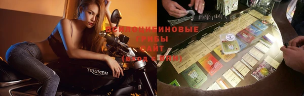 герыч Кулебаки